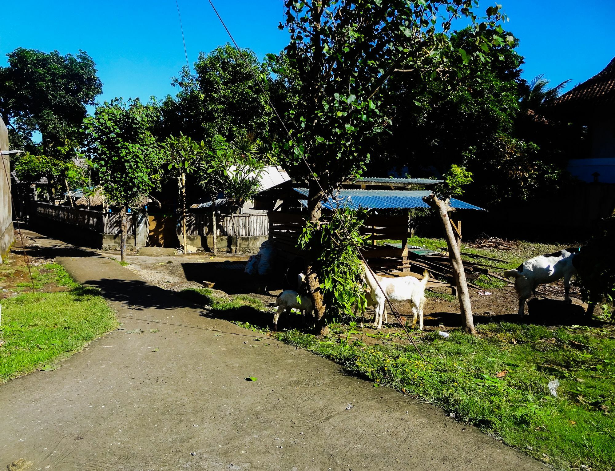 Teras Lombok Bungalow Senggigi Exterior photo